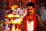 NTR Dammu Exclusive Stills